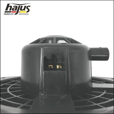 Interior Blower