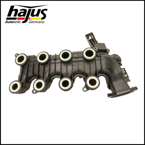 Intake Manifold Module