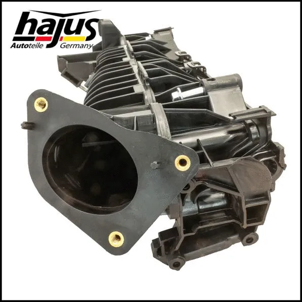 Intake Manifold Module