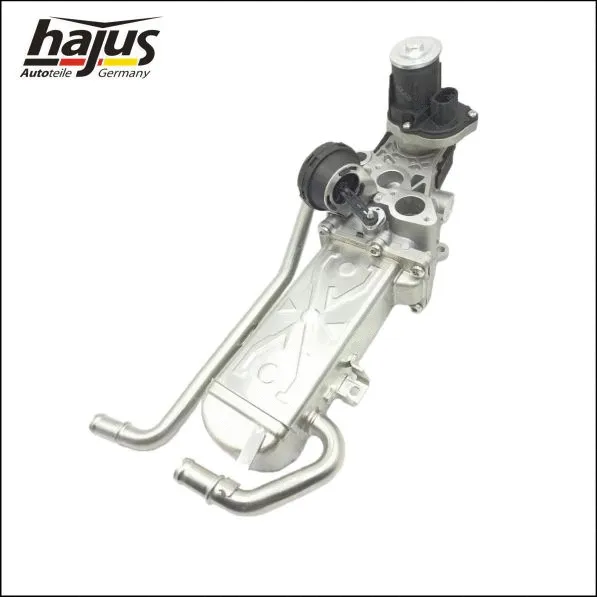 EGR Module