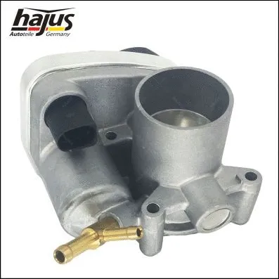 Throttle Body (1311053)