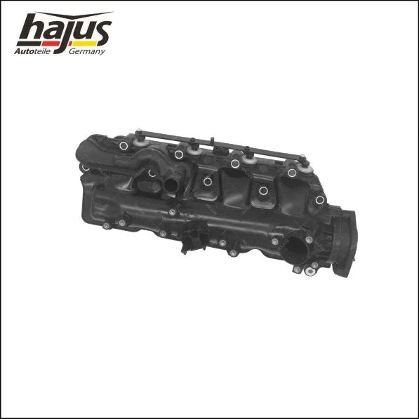 Intake Manifold Module (2511058)