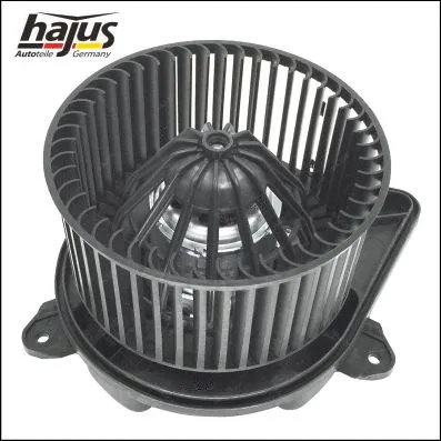 Interior Blower