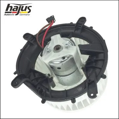 Interior Blower
