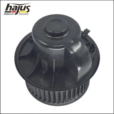 Interior Blower
