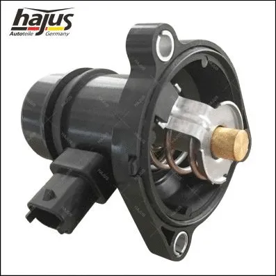Thermostat, coolant (1211411)