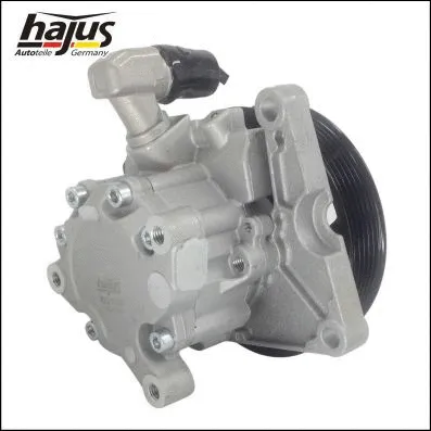 Hydraulic Pump, steering (4221036)