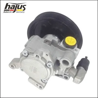 Hydraulic Pump, steering (4221032)