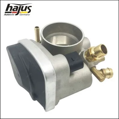 Throttle Body (1311091)