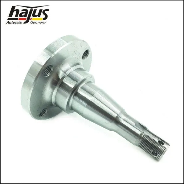 Kingpin, axle beam (4071067)