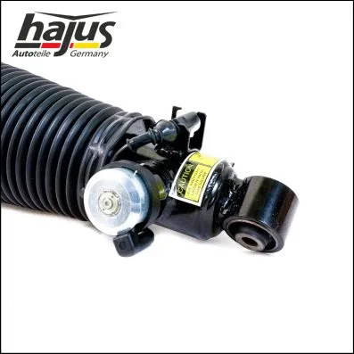 Air Suspension Strut