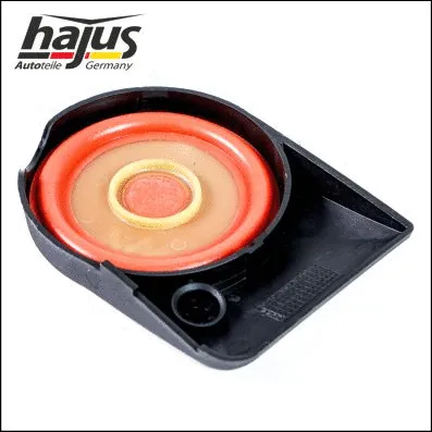 Valve, crankcase ventilation (1031021)