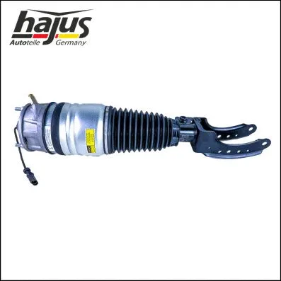 Air Suspension Strut (4121110)