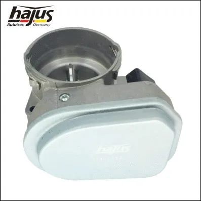 Throttle Body (1311033)