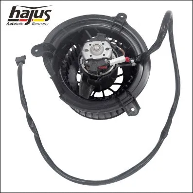 Interior Blower