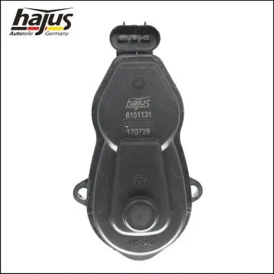Control Element, parking brake caliper