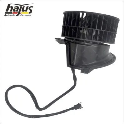 Interior Blower