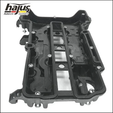 Cylinder Head Cover (1031002)