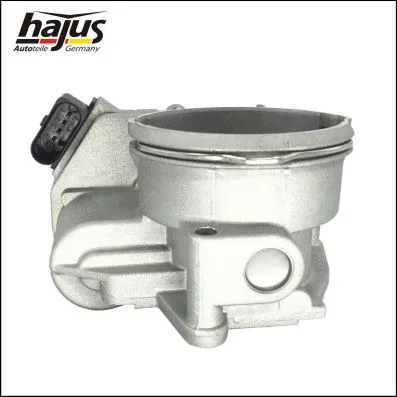Throttle Body (1311034)