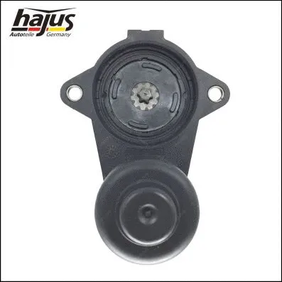 Control Element, parking brake caliper