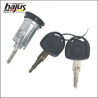 Lock Cylinder, ignition lock (9191081)