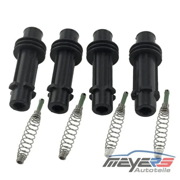 Plug, spark plug