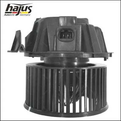 Interior Blower