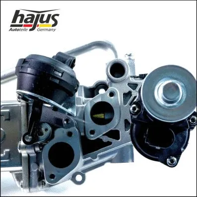 EGR Module