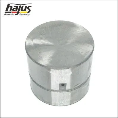 Valve Tappet Set (1151249)