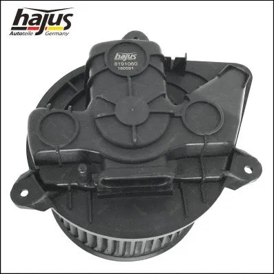 Interior Blower