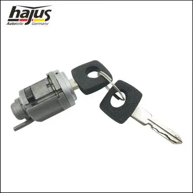 Lock Cylinder, ignition lock (9191079)