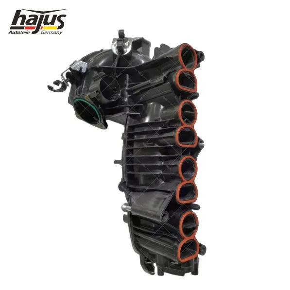 Intake Manifold Module