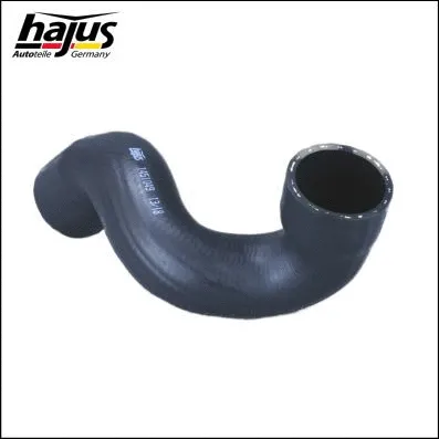 Charge Air Hose (1451049)