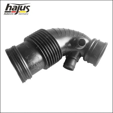 Intake Hose, air filter (1151569)