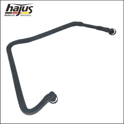 Hose, crankcase ventilation