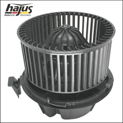 Interior Blower