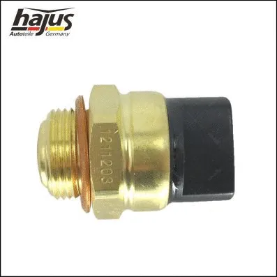 Temperature Switch, radiator fan (1211203)