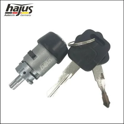 Lock Cylinder, ignition lock (9191076)