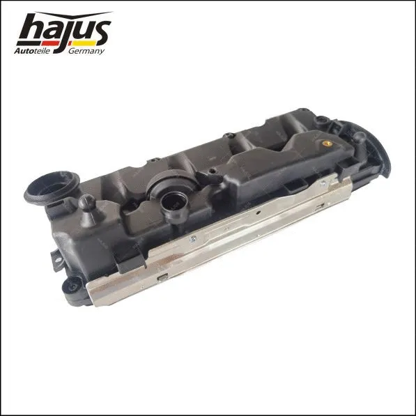 Cylinder Head Cover (1031047)
