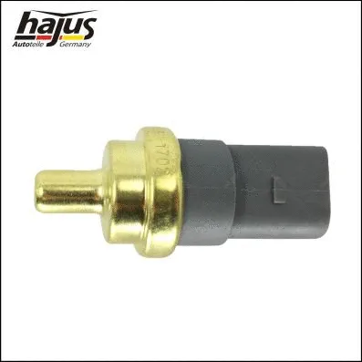 Sensor, coolant temperature (1211148)