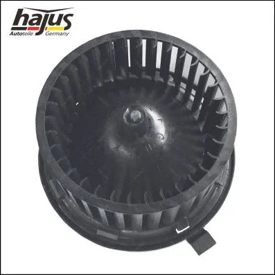 Interior Blower