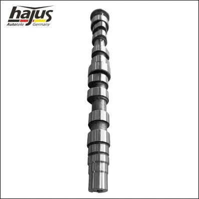 Camshaft (1091060)