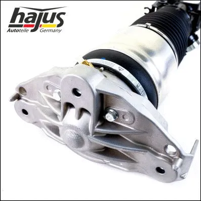 Air Suspension Strut