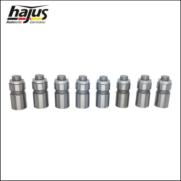 Valve Tappet Set
