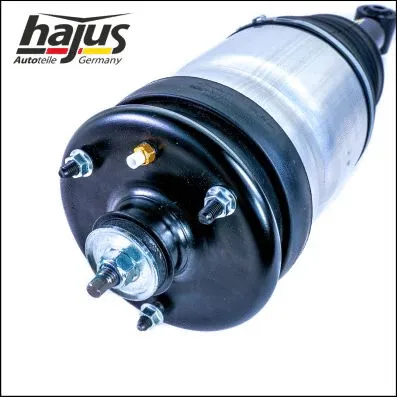 Air Suspension Strut