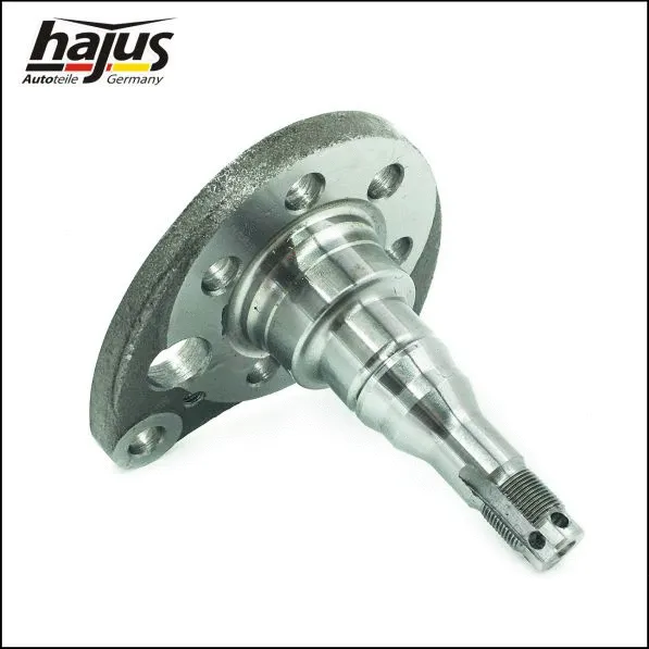 Kingpin, axle beam (4071065)
