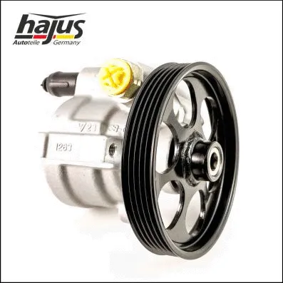 Hydraulic Pump, steering (4221057)
