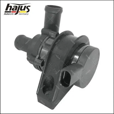 Auxiliary Water Pump (heating water circuit)
