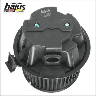 Interior Blower