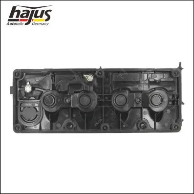 Cylinder Head Cover (1031029)